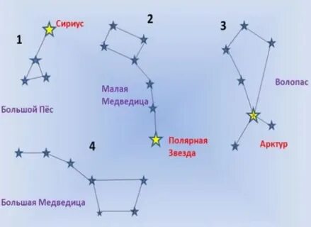 Созвездие большой медведицы из пластилина 2 класс