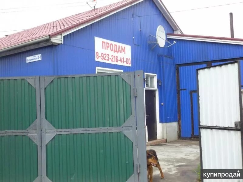 питон каа 1988. номер каа. змея каа гипнотизирует рапунцель. каа и шанти. Kaa and mowgli.