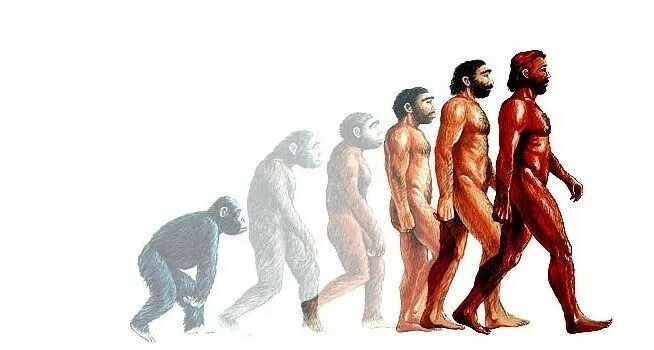 Этапы эволюции человека,хомо сапиенс. Этапы эволюционного развития человека. Стеупень революции человека. Ступени развития человека. Человеческие люди рассказ