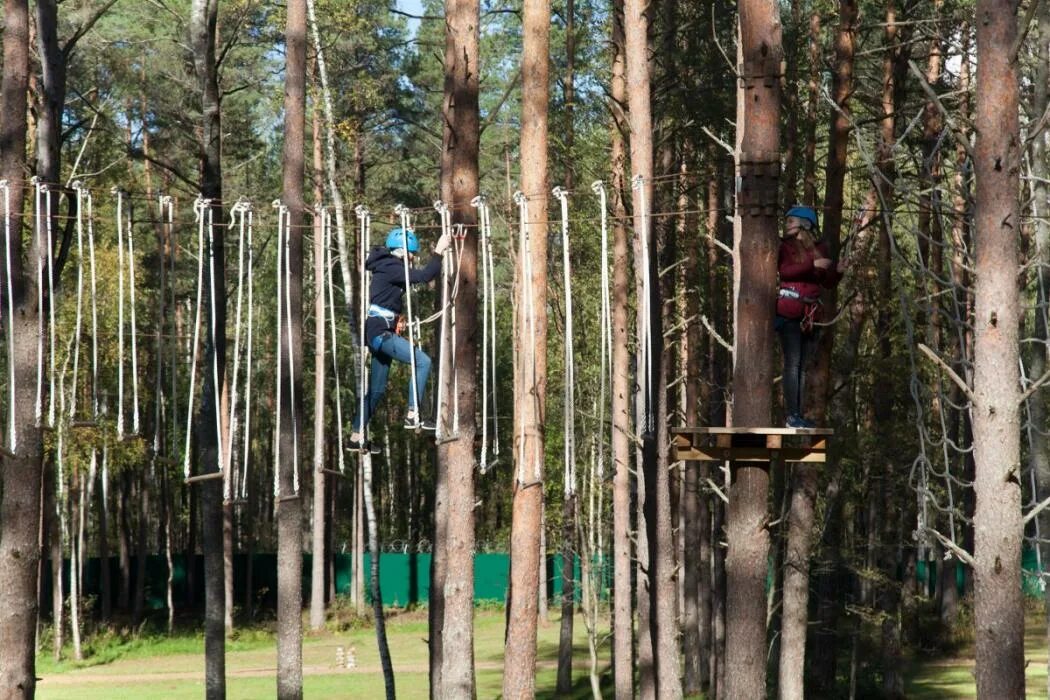 Веревочный парк в рахдоьье. Верёвочный парк в пскове раздолье. Веревочный парк в пскове. Веревочный парк в пскове. Веревочный парк в пскове.