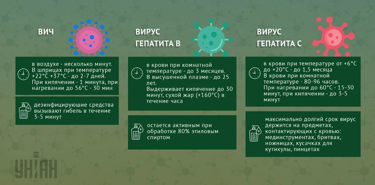 Сколько живет гепатит вне организма