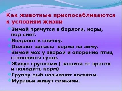 Условия жизни животных 2 класс
