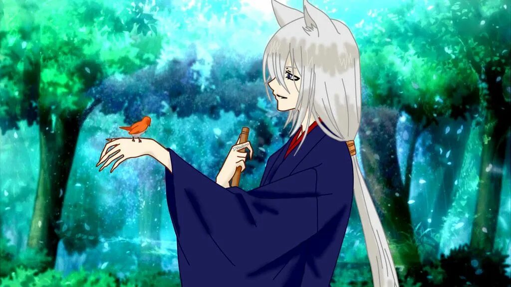 Томоэ. Томоэ из очень приятно бог. Кицунэ томоэ. Аниме томоэ томоэ. Приятно бог томоэ.