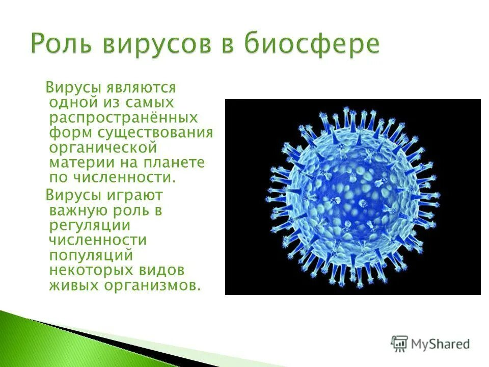 Каким основным свойством не обладают вирусы. Презентация на тему вирусы. Формы существования вирусов. Вирусы от живых организмов. Функции вирусов.