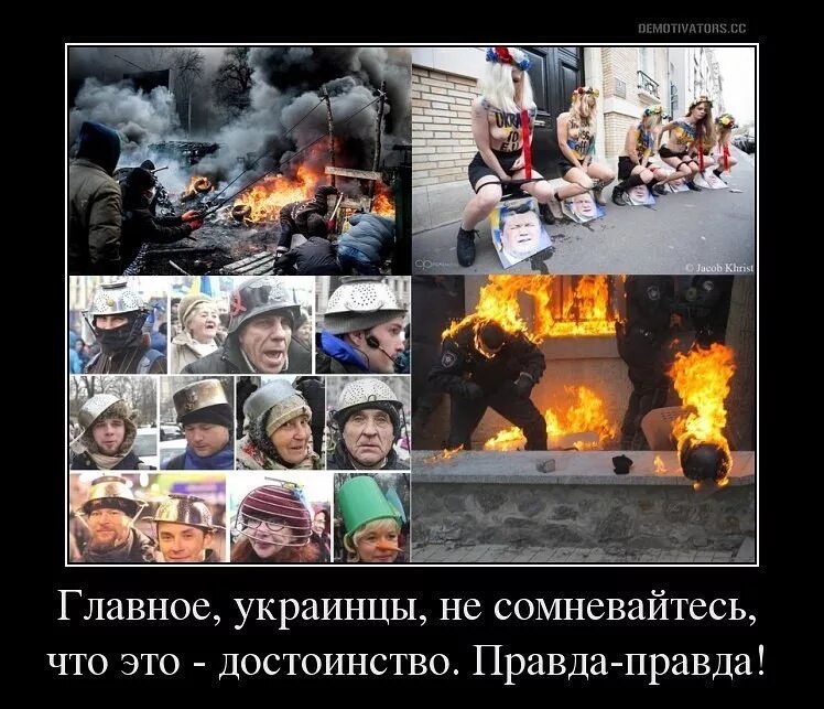 Свидомитов нет
