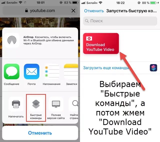 Как найти библиотеку в ютуб. Ютуб на айфоне. куда в айфон скачивается видно. куда сохраняются видео с ютуба на айфон. куда скачиваются видео на айфоне.