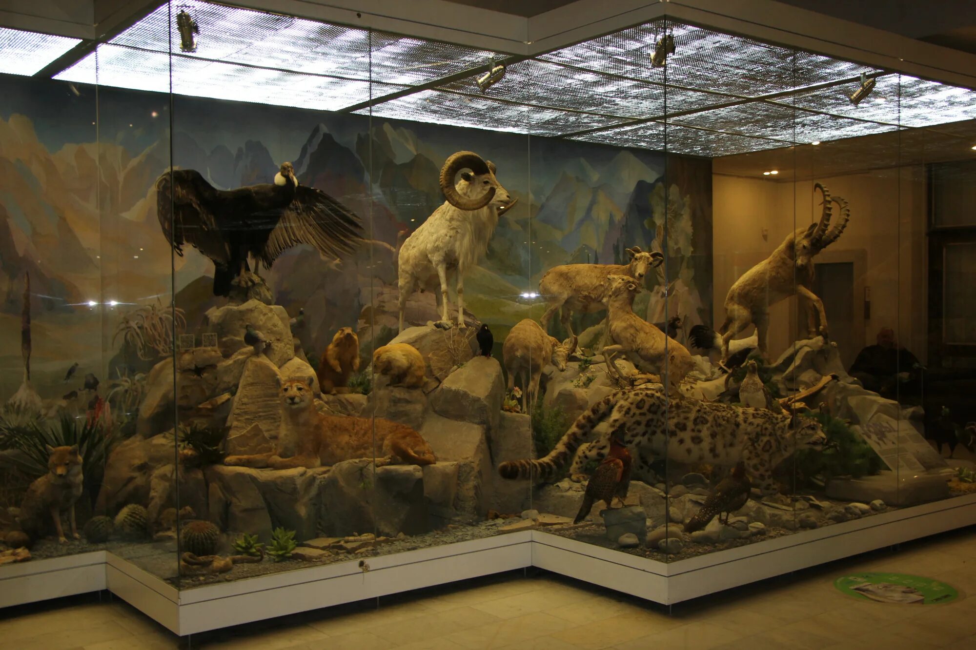 ул вавилова 57 дарвиновский музей. академическая станция метро питер. музей при академии художеств в спб. государственный дарвиновский музей; вавилова, 57. метро академическая музеи.