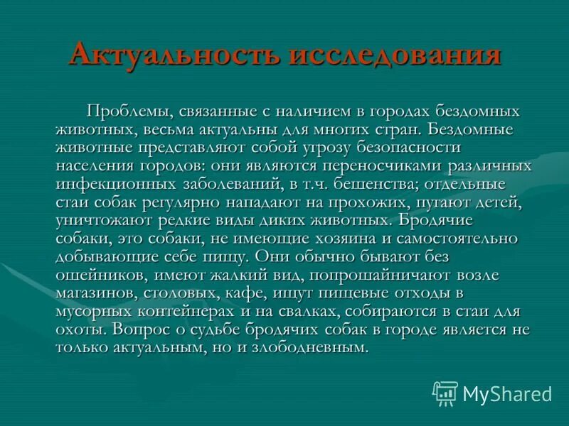 Исследовательская работа проблема бездомных животных. Бездомные животные актуальность. актуальность проблемы бездомных животных. актуальность темы бездомные животные. актуальность бездомных животных проект.
