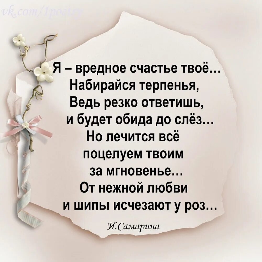 И будут рады любому