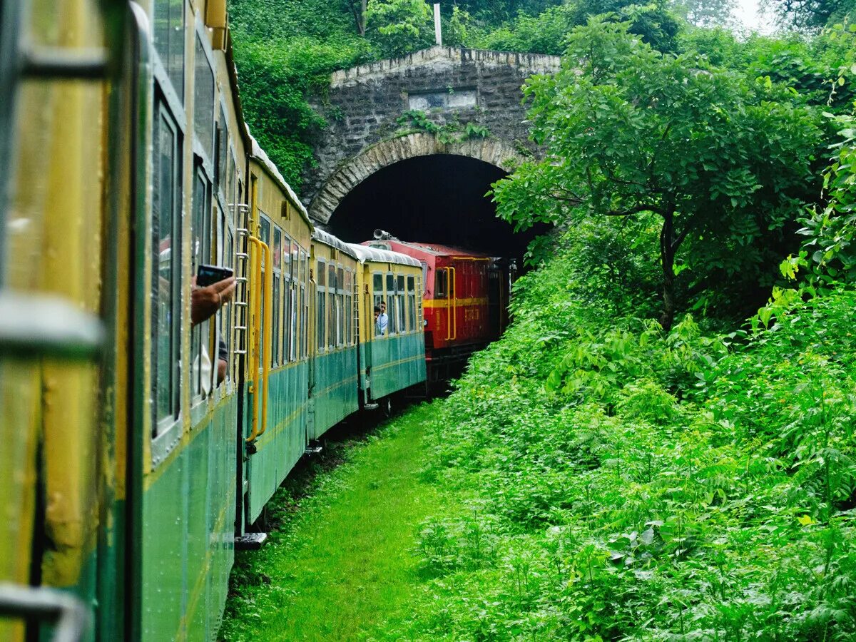 Зеленый поезд слова. Железная дорога Калка-Шимла. Поезд Калка Шимла. Калка Шимла вагон. Зеленый поезд.