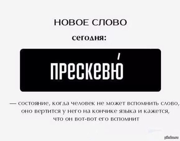 Картинки со словами. Необычные смешные слова. Интересные слова. Интересные необычные слова. Слово дня установить