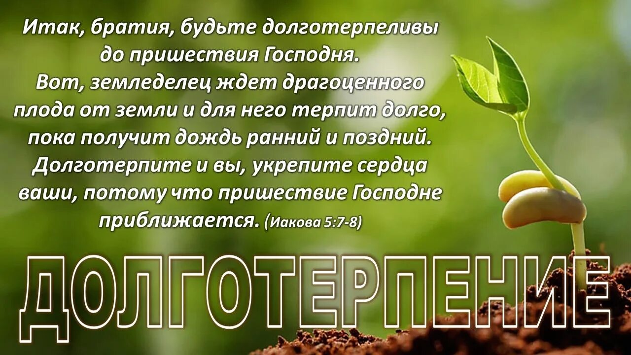 Ибо мы имеем пищу от земли смысл