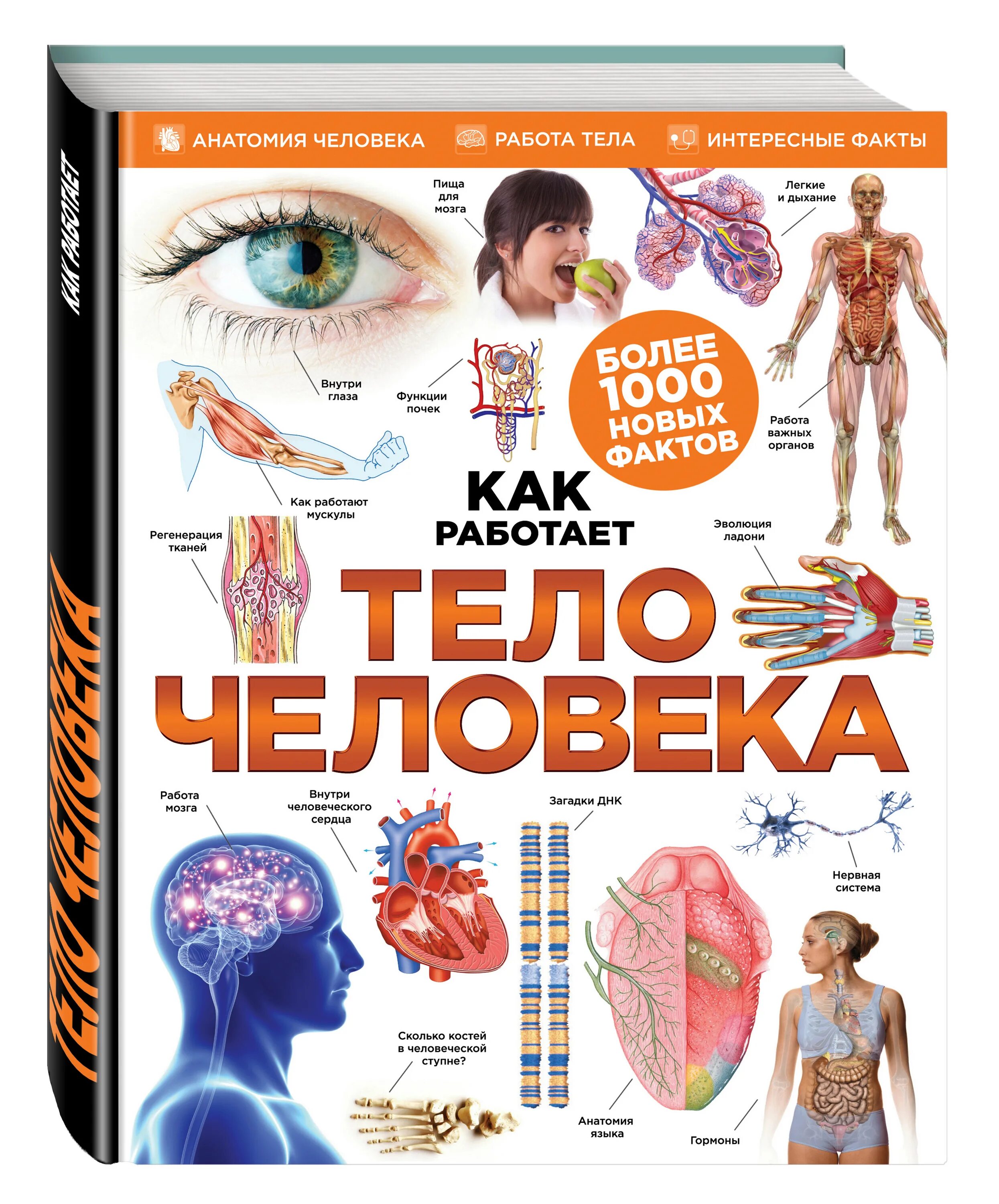 книга полная энциклопедия юлия школьник. книга с окошками тело человека. книжки про человека. эксмо тело человека. книги про психохологиб.