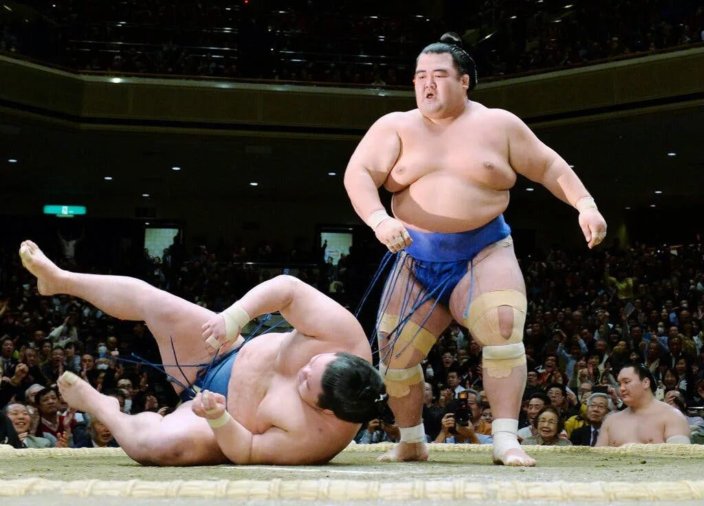 2 sumo. 2 sumo