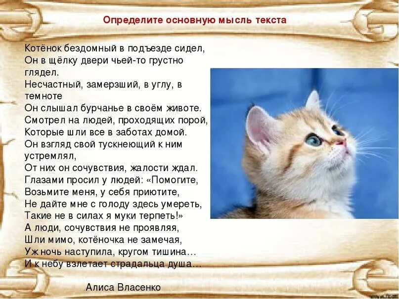 Описание кошки 5 класс русский язык. Рассказ о котах. Описание котенка. Написать про кошку. Текст про кошку.