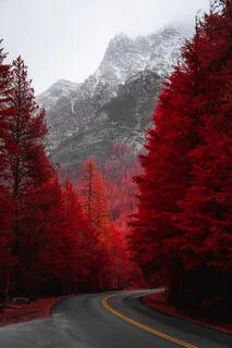 Красный пейзаж
