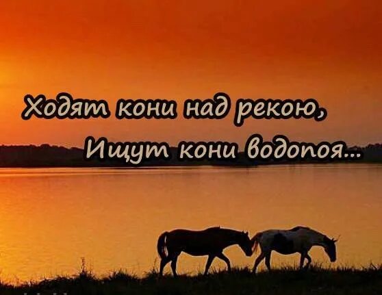 Медленные лошади. Песни ходят кони. Ходят кони над. Ходят кони над рекою ищут кони водопою текст. Песни ходят кони.