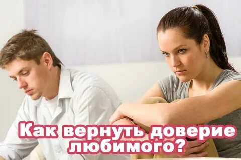 Как вернуть доверие собаки