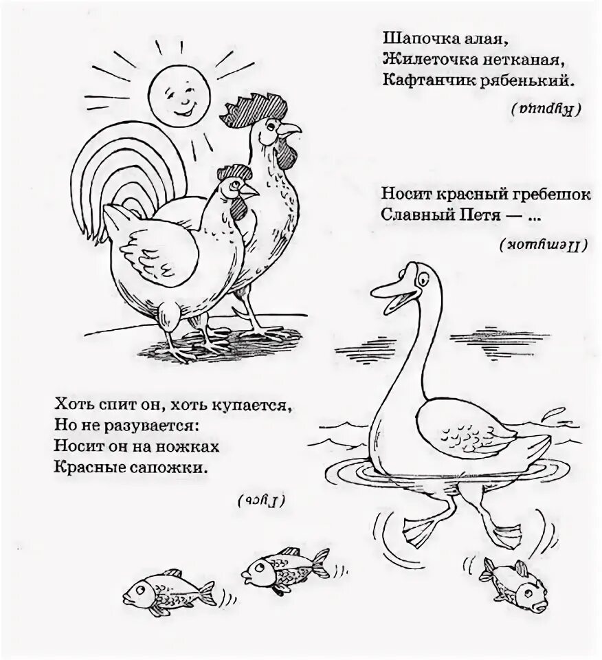 Загадки для 7 лет с отгадками: найдено 90 картинок