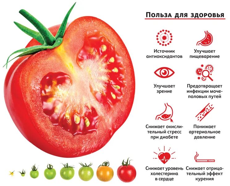 Помидоры сколько есть. Интересные факты о помидорах. Чем полезны помидоры. Чем полезны помидоры для организма. Польза помидоров.