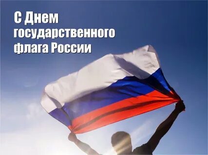 День госу