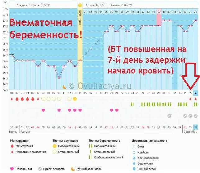 Наступление беременности сроки. Базальная температура на 20 день цикла при беременности. беременные графики базальной температуры. графики бт при беременности. беременный график бт.