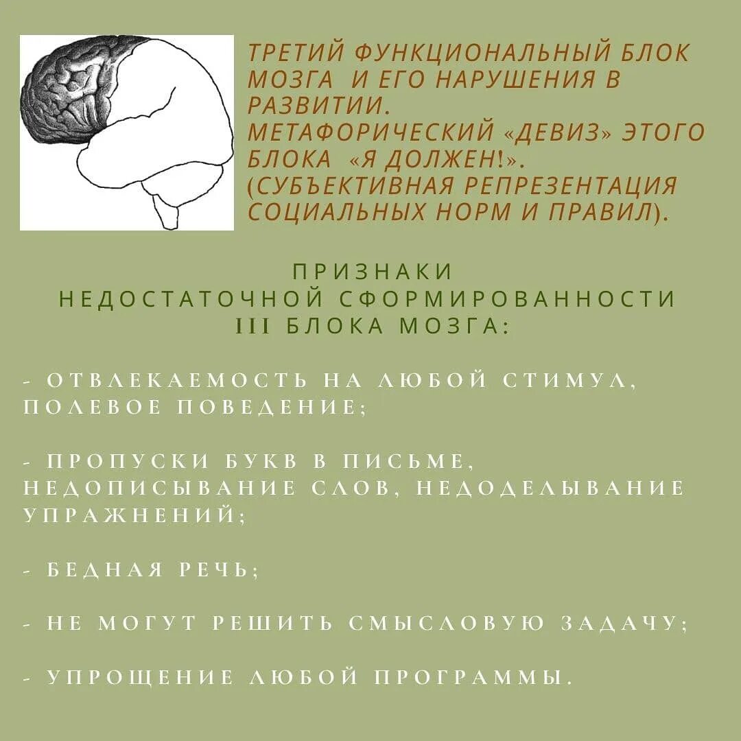 Нарушения блоков мозга. Блоки мозга нейропсихология. 1 Функциональный блок мозга. 3 Блока мозга нейропсихология. Нарушение третьего блока мозга.