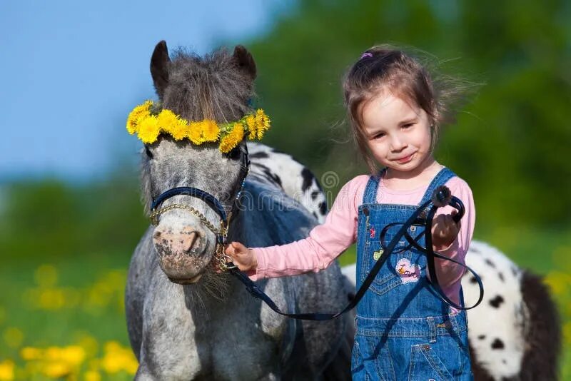 Horse kids. Пони для детей. Фотосессия с пони дети летом. Маленькие дети с лошадьми милые фото. Фото маленьких детей на игрушечной лошадке.