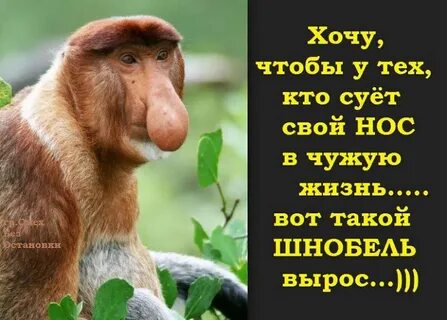 У них жизнь вот такой