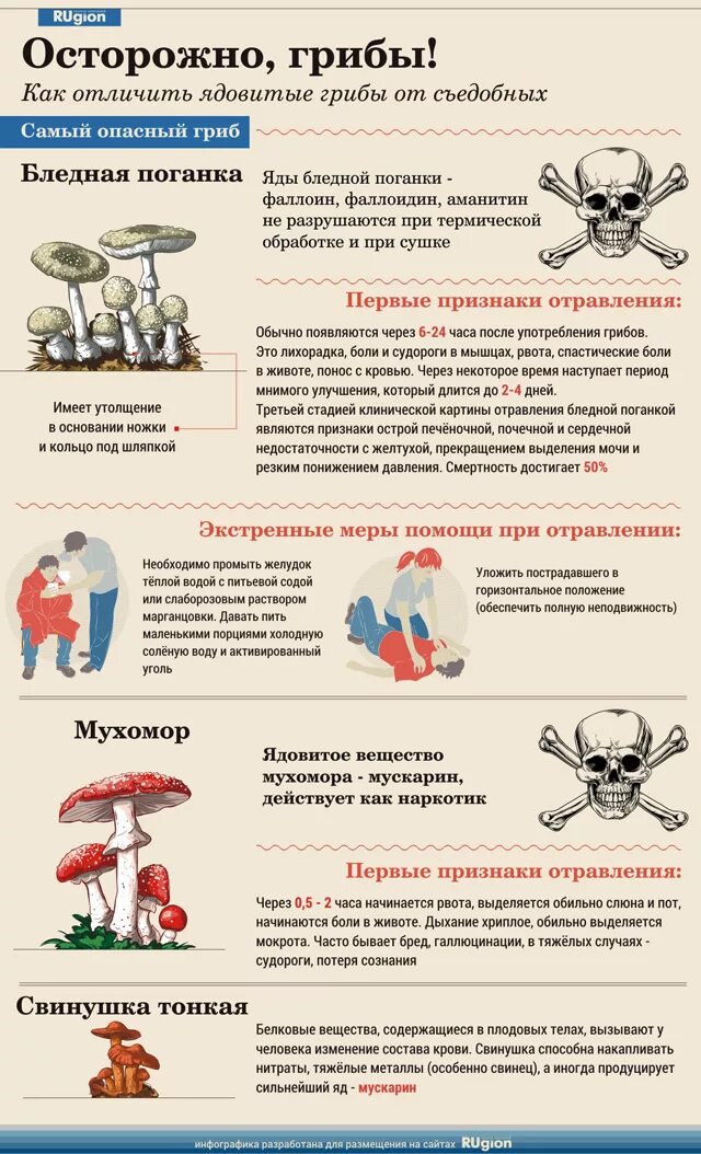 Чем опасно отравление ядовитыми грибами