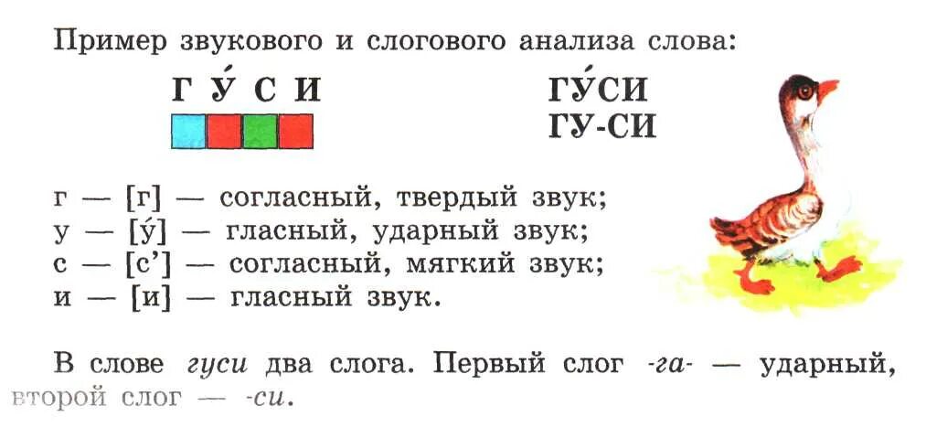 Звуковой анализ гуси. Звуковой анализ слов 1 класс. Звуковой анализ слова гуси. Звуко-буквенный анализ слов для дошкольников. Русский язык 6 утка