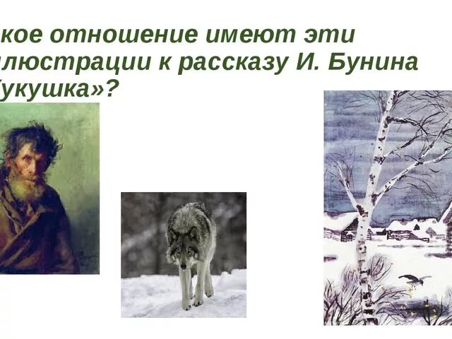 Как писатель относится к кукушке. Бунин Кукушка. Иллюстрации к рассказу Бунина Кукушка. Рисунок к произведению Кукушка Бунин. Произведение Кукушка.