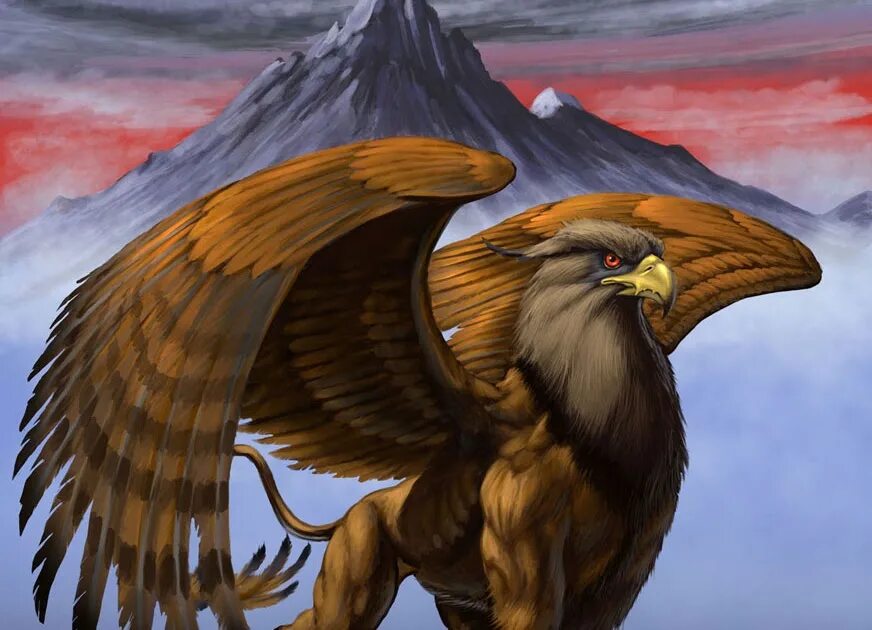 Ведьмак 3 костюм школы грифона. My little pony (gabby the griffon) грифон хентай. Полулев полуорел. Кейсонг грифон. Грифон с короной на голове.