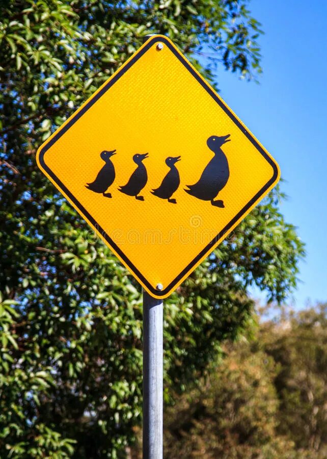 Знак с утками. Дорожный знак утки. Знак уточки дорожный. Дорожный знак с уткой. Дорожный знак утка с утятами.