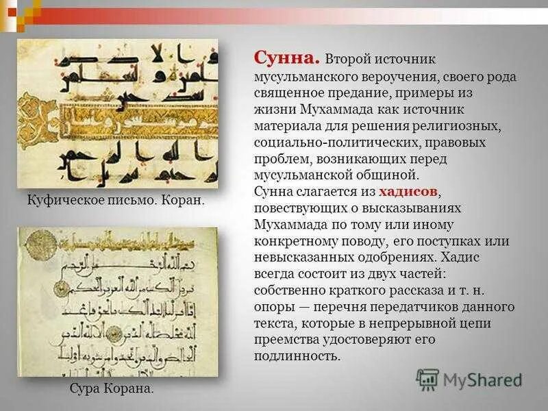 Сунна для женщин