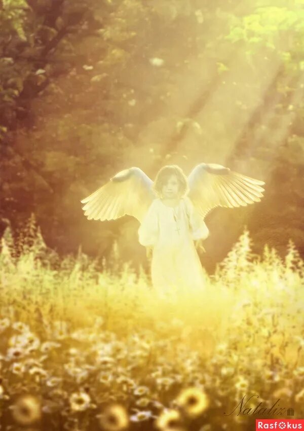 Свет ангела. Ангельский свет. Ангел хранитель свет. Ангел в лучах. Одна комната солнечный свет ангел джутсу