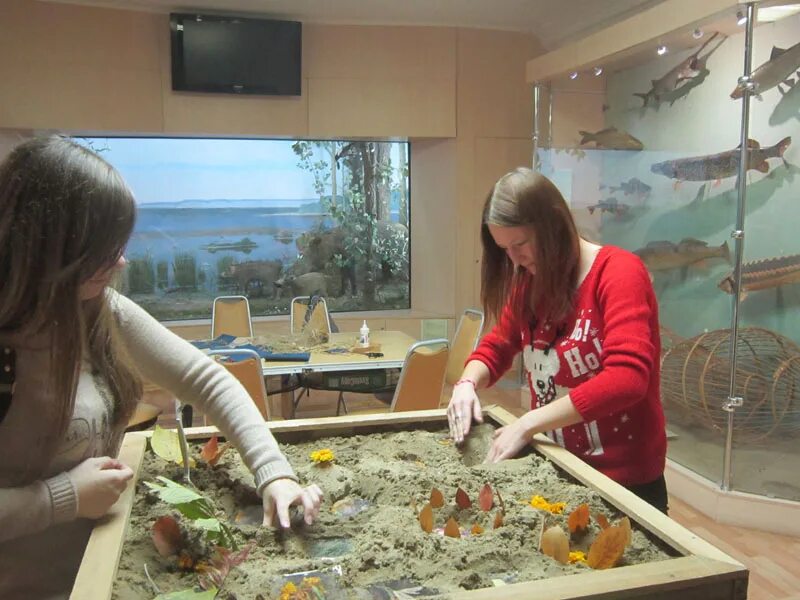 краеведческий музей белово. областной музей истории народного образования киров. уроки в краеведческом музее. краеведческий музей сатка. школьный музей.