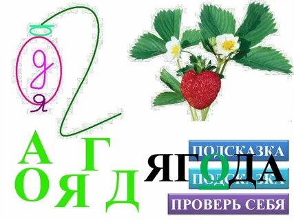 Ягода словарное слово 2 класс