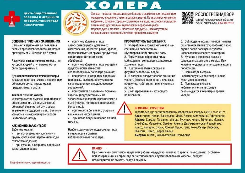 Что за болезнь холера. Профилактика холеры памятка. Холера профилактика заболевания. Холера Роспотребнадзор.