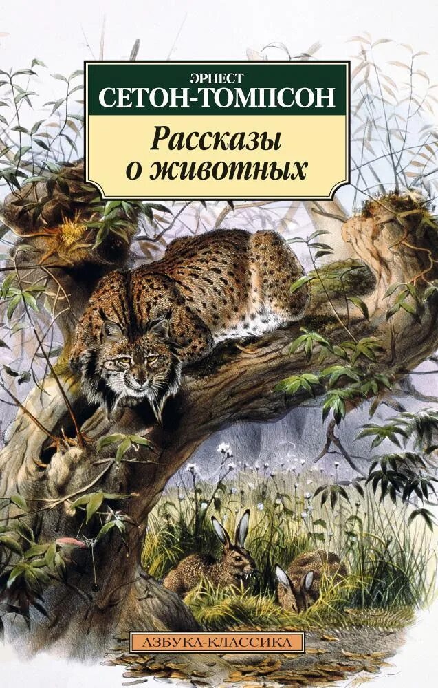 7 рассказов о животных. Сетон-томпсон рассказы о животных. сетон-томпсон э. &quot;рассказы о животных&quot;.