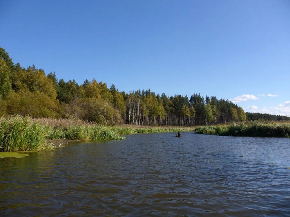 Река нейва. Река нейва