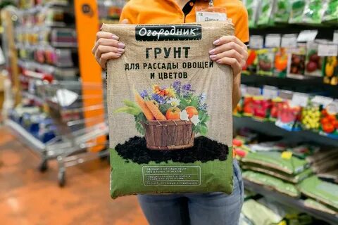 Доминго новокузнецк сайт