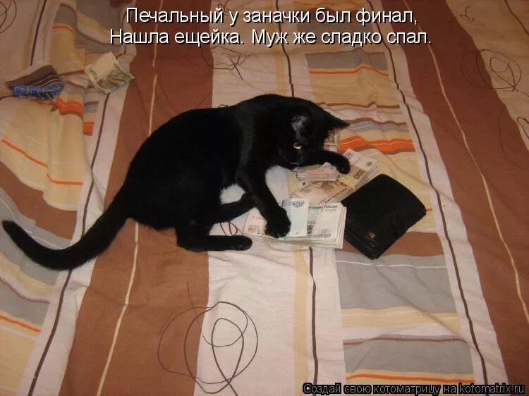 Я ужасный муж. Черный кот в доме. Кот нашёл заначку. Кошачьи заначки. День обнаруженных заначек открытки.