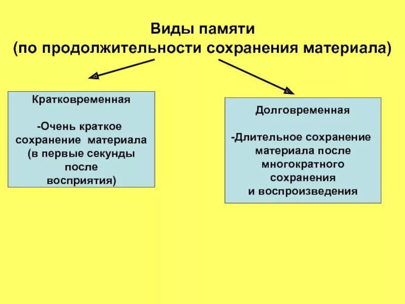 Виды памяти по сохранению информации. Виды памяти по продолжительности. классификация памяти по длительности. виды памяти по длительности сохранения. память по продолжительности сохранения материала.