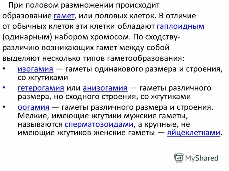 Для успешного слияния гамет и образования