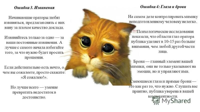 извинить начать. извинить начать. скажи спасибо. извинение картинки для презентации. фразы извинения.