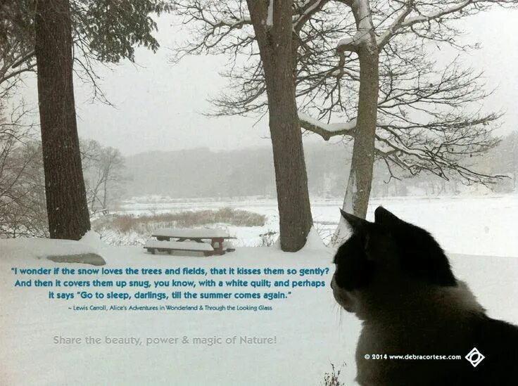 If it snows