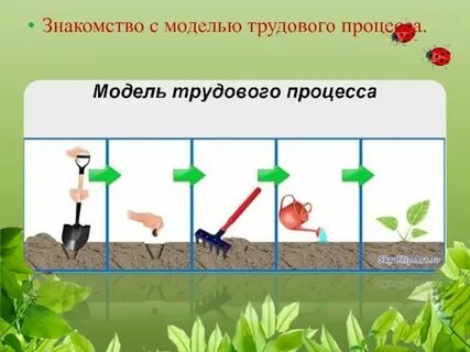Метод показа трудовых действий