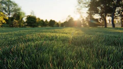 Good grass