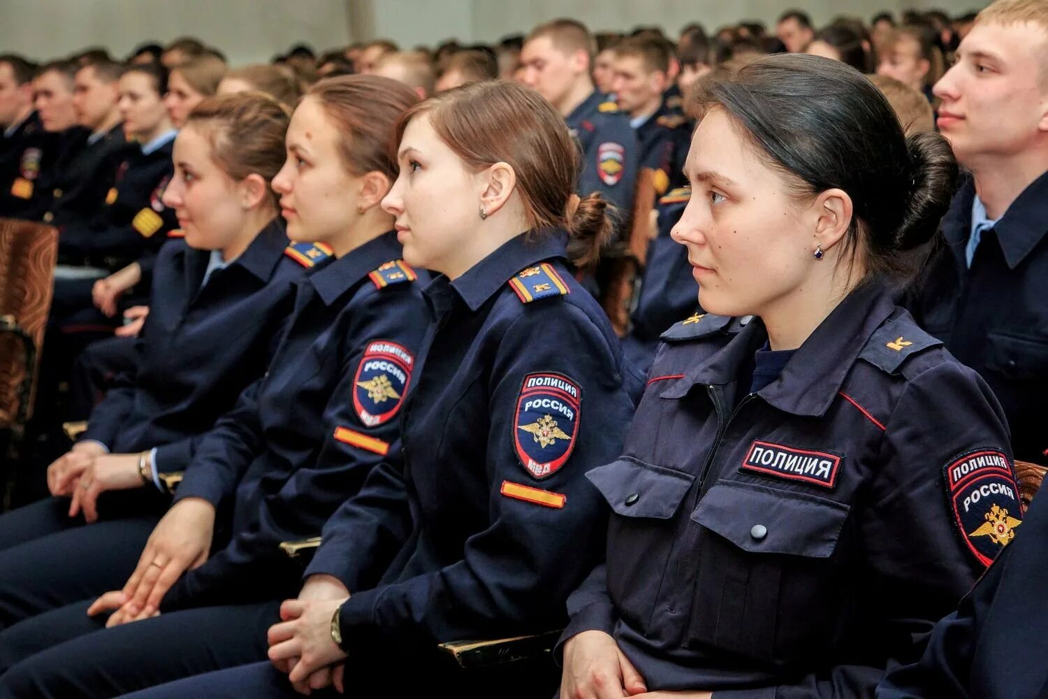 Правоохранительная деятельность среднее